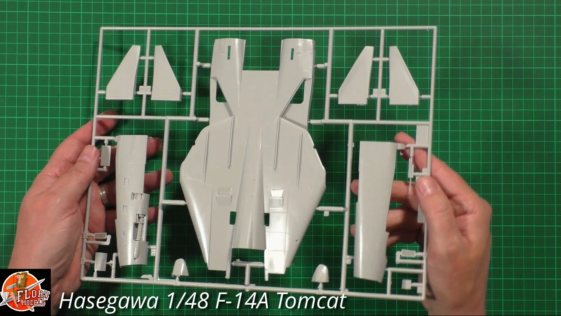 Hasegawa 1/48 F-14A Tomcat Review — Flory Models